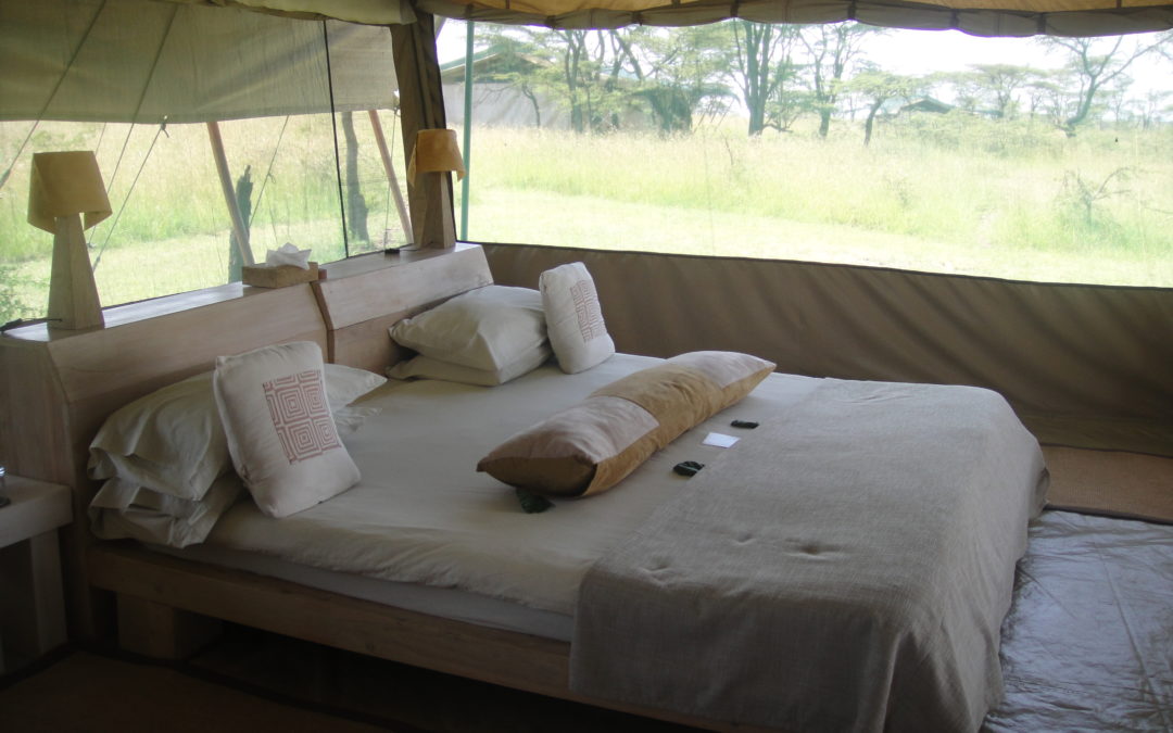 Kicheche Bush camp – Kenya